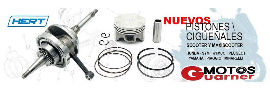 [z4;0;1;0;2;1;2;310;1;1;2;2;1;y]