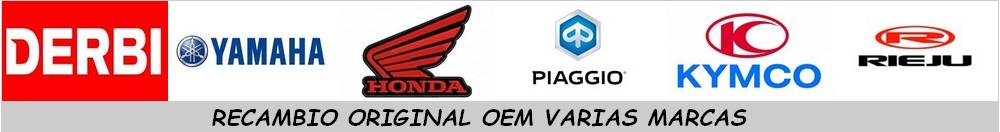 RECAMBIO ORIGINAL MOTO