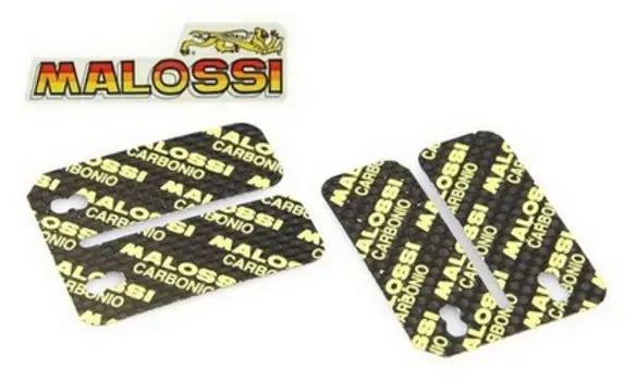 Laminas Admision Piaggio NRG Malossi