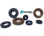 Retenes Motor Derbi Euro 3