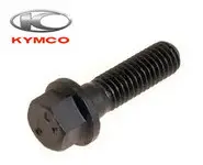 Tornillo Caballete Kymko 95801-10030-06