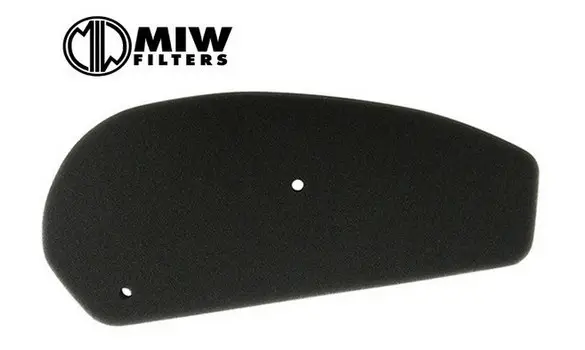 Filtro Aire Honda SGX Sky 50