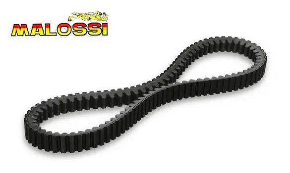 Correa Kymko X-Citng 500 Malossi