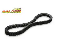 Correa Kymko X-Citng 500 Malossi