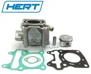 Cilindro Honda Forza 125 Hert
