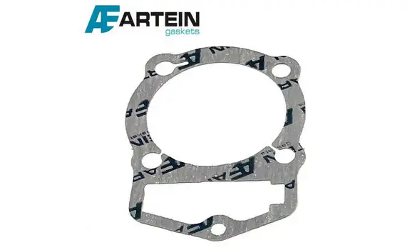 Junta Cilindro Daelim Daystar 125