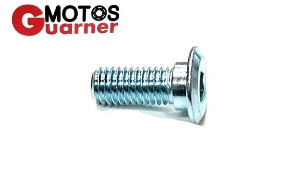 Tornillo Disco Freno 8x20