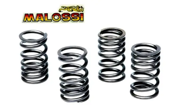 Muelles Embrague AM6 Malossi Racing