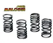 Muelles Embrague AM6 Malossi Racing
