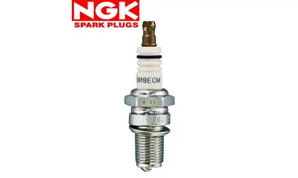 Bujia NGK BR8ECM -3035-