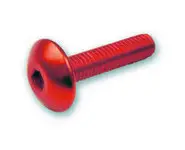6 Tornillos 6x20 Allen C/Alomada Rojo