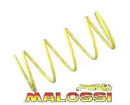 Muelle Variador Minarelli 50 Malossi AM