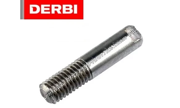 Pin Muelle Selector Cambio Derbi Euro3/4