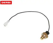 Sensor Temperatura Derbi Senda Euro 2/3