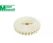 Piñon Bomba Aceite AM6 22-Z