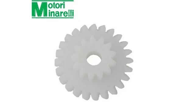 Piñon Bomba Aceite AM6 13/24 Z