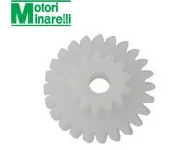 Piñon Bomba Aceite AM6 13/24 Z