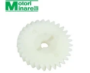 Piñon Bomba Agua AM6 30 Z