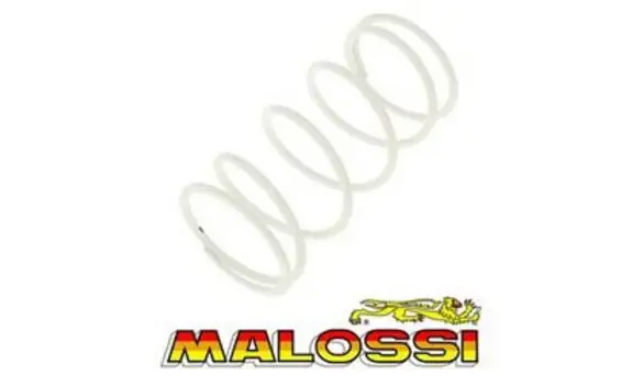 Muelle Variador Minarelli 50 Malossi BL