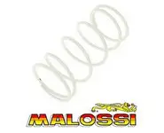 Muelle Variador Minarelli 50 Malossi BL