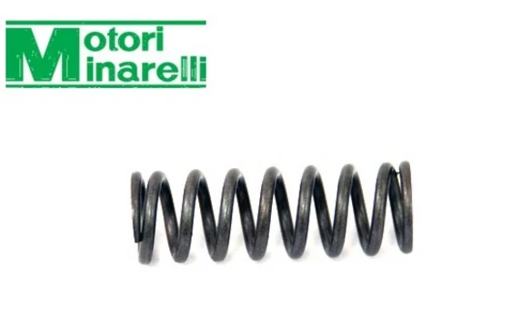 Muelle Fijador Punto Muerto AM6