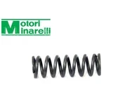 Muelle Fijador Punto Muerto AM6