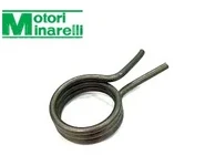 Muelle Selector Cambio AM6