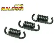Muelles Embrague Malossi Delta Clutch NG