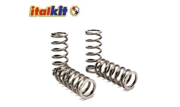 Muelles Embrague AM6 Italkit Racing