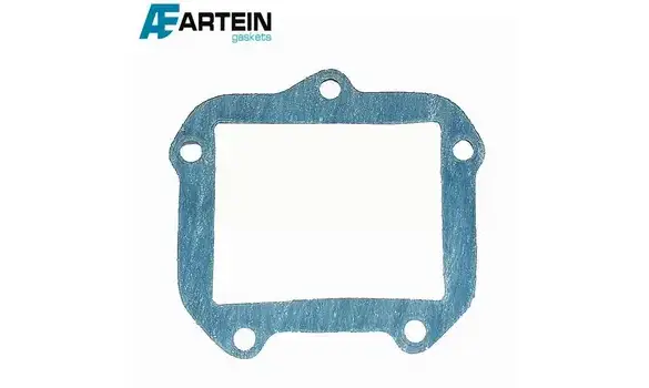 Junta Admision Aprilia RS 125