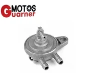 Grifo Gasolina Piaggio X9 Evolution