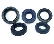 Retenes Motor Vespino ALX NLX etc