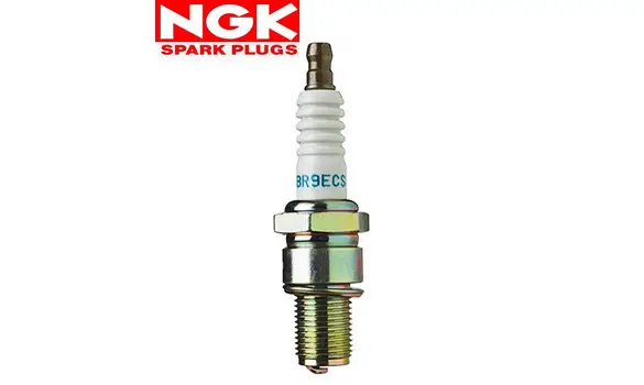 Bujia NGK BR9ECS -3570-