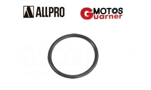 Junta Escape AM6 25mm