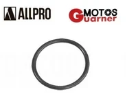 Junta Escape AM6 25mm