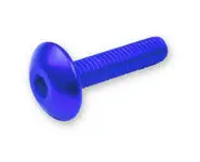 6 Tornillos 6x30 Allen C/Alomada Azul