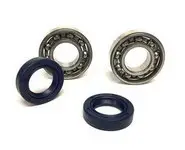 Rodamientos Cigueñal Vespino F9 Origen