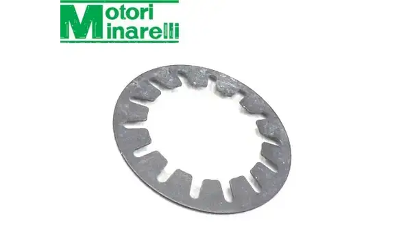 Arandela Muelle Embrague AM6