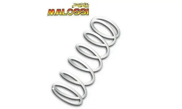 Muelle Variador Honda SH 125 Malossi BL