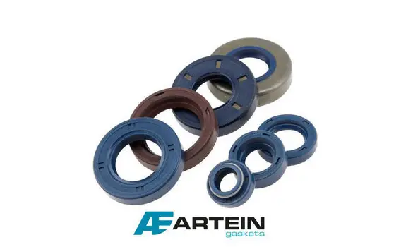 Retenes Motor AM6 6 Piezas