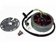 Volante Derbi Senda Tipo Ducati 04168513