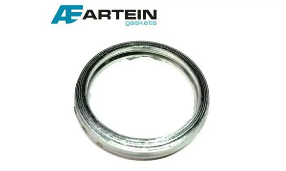 Junta Escape Yamaha YBR 125 30x39.5x3