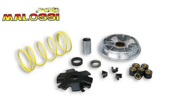 Variador Malossi Derbi Predator LC